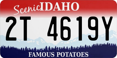 ID license plate 2T4619Y