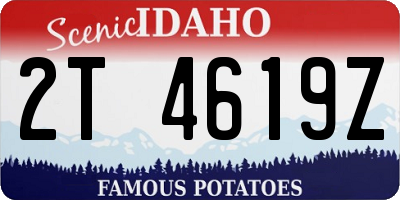 ID license plate 2T4619Z