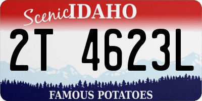 ID license plate 2T4623L