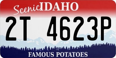ID license plate 2T4623P
