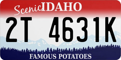 ID license plate 2T4631K