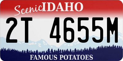 ID license plate 2T4655M
