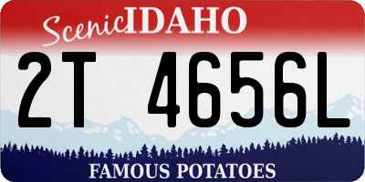ID license plate 2T4656L