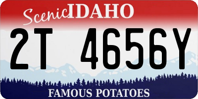 ID license plate 2T4656Y