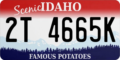 ID license plate 2T4665K