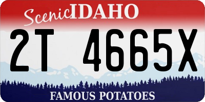 ID license plate 2T4665X