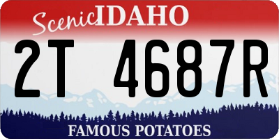 ID license plate 2T4687R