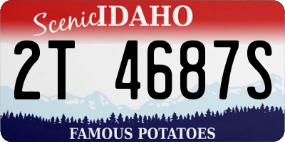 ID license plate 2T4687S