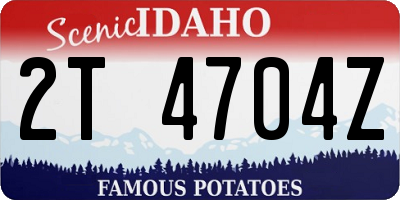 ID license plate 2T4704Z