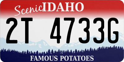 ID license plate 2T4733G
