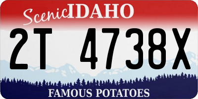 ID license plate 2T4738X