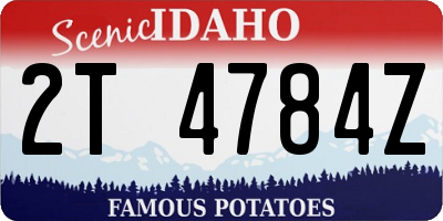 ID license plate 2T4784Z