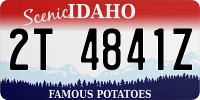 ID license plate 2T4841Z