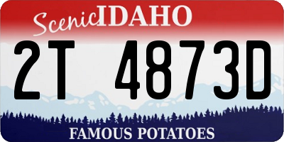 ID license plate 2T4873D