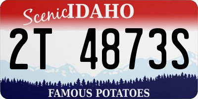 ID license plate 2T4873S