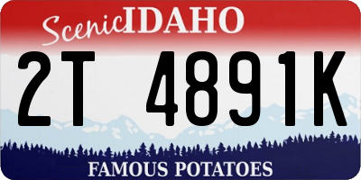 ID license plate 2T4891K
