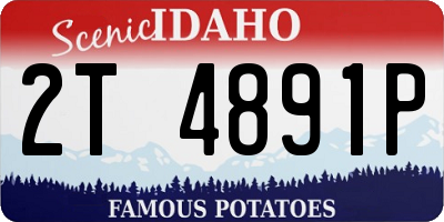 ID license plate 2T4891P