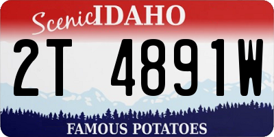 ID license plate 2T4891W
