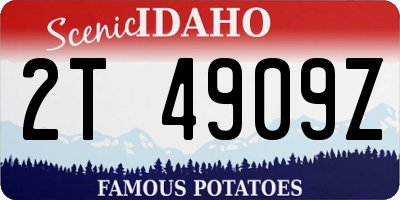 ID license plate 2T4909Z