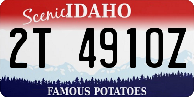 ID license plate 2T4910Z
