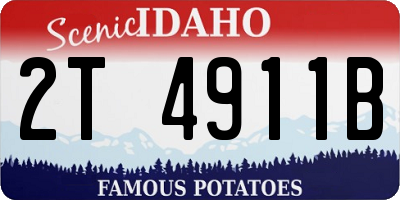 ID license plate 2T4911B