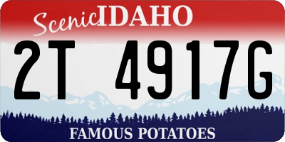 ID license plate 2T4917G