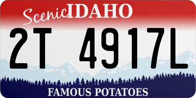 ID license plate 2T4917L