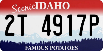 ID license plate 2T4917P