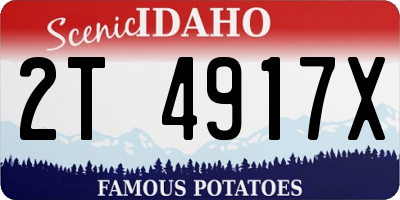ID license plate 2T4917X