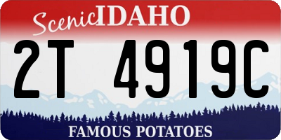 ID license plate 2T4919C