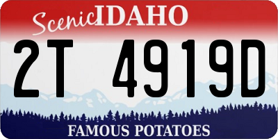 ID license plate 2T4919D