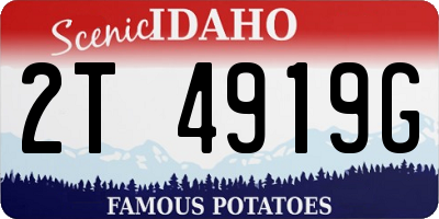 ID license plate 2T4919G
