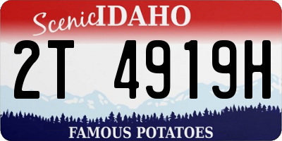 ID license plate 2T4919H