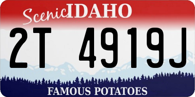 ID license plate 2T4919J