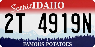 ID license plate 2T4919N