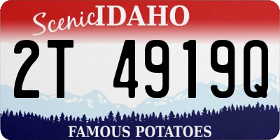 ID license plate 2T4919Q