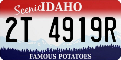 ID license plate 2T4919R