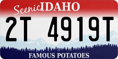 ID license plate 2T4919T