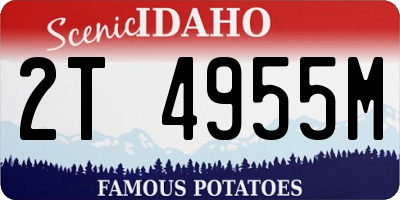 ID license plate 2T4955M