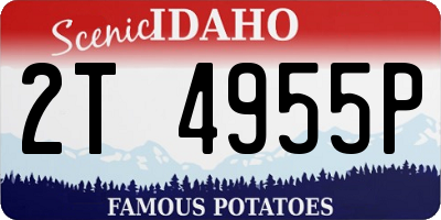ID license plate 2T4955P
