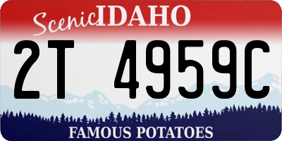ID license plate 2T4959C
