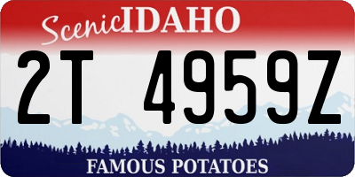 ID license plate 2T4959Z