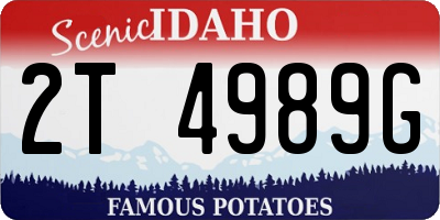 ID license plate 2T4989G