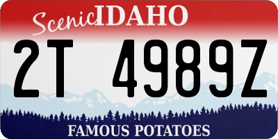 ID license plate 2T4989Z