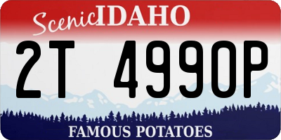 ID license plate 2T4990P