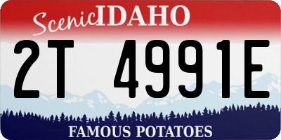 ID license plate 2T4991E