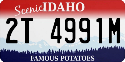 ID license plate 2T4991M