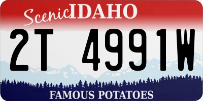 ID license plate 2T4991W