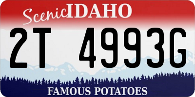 ID license plate 2T4993G