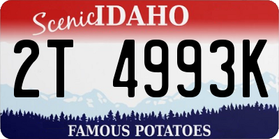 ID license plate 2T4993K